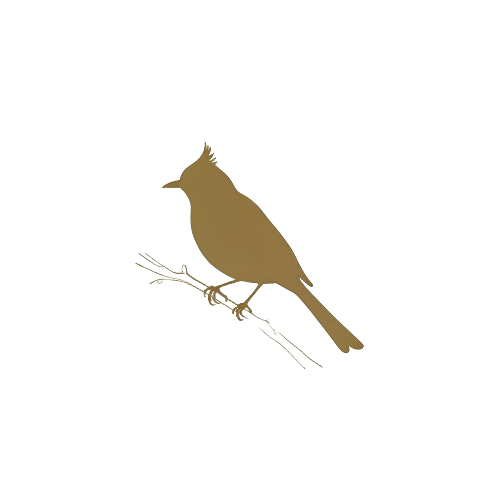 Signature BulBul De Bourbon